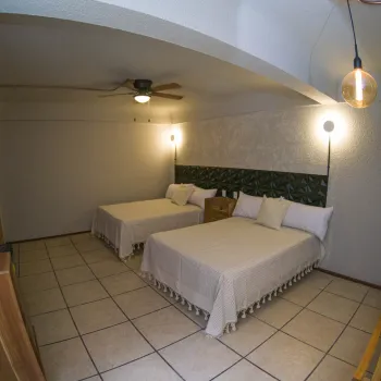 Foto de la galería