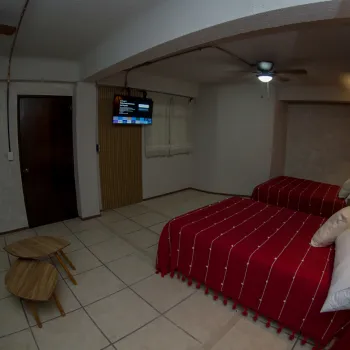 Foto de la galería