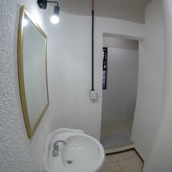 Foto de la galería